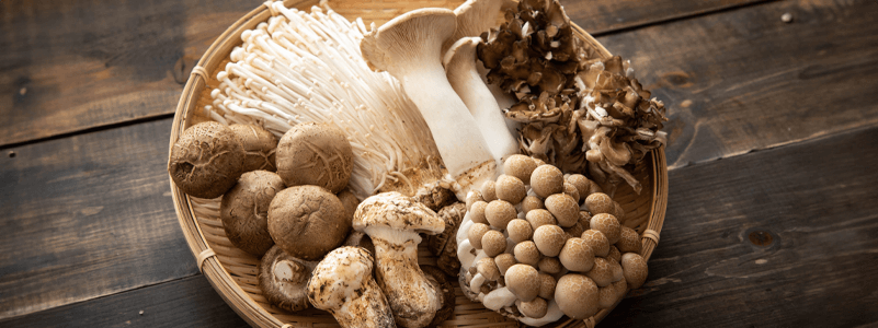 Mushroom Blends